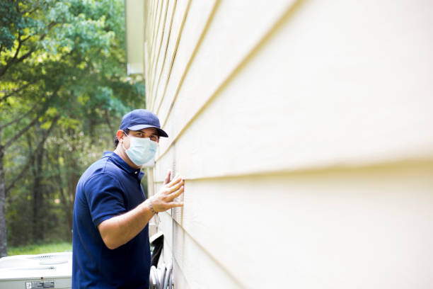 Best Custom Siding Design  in Idylwood, VA